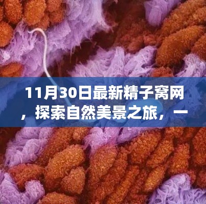 精子窝网下的自然美景探索与心灵洗涤之旅