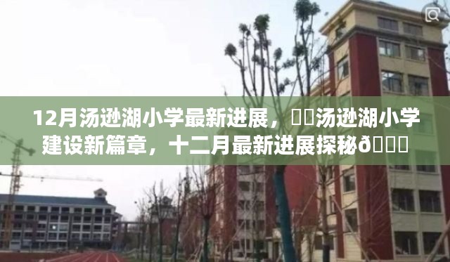 汤逊湖小学建设进展探秘,十二月新篇章🌟