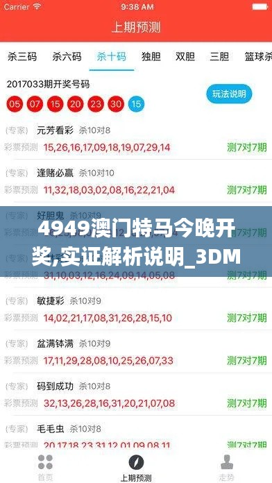4949澳门特马今晚开奖,实证解析说明_3DM42.913-1