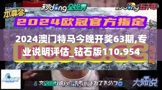 2024澳门特马今晚开奖63期,专业说明评估_钻石版110.954
