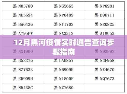 黑河疫情实时通告查询指南,12月最新步骤详解
