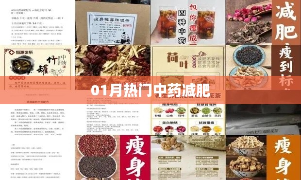 中药减肥秘籍,一月热门瘦身良方