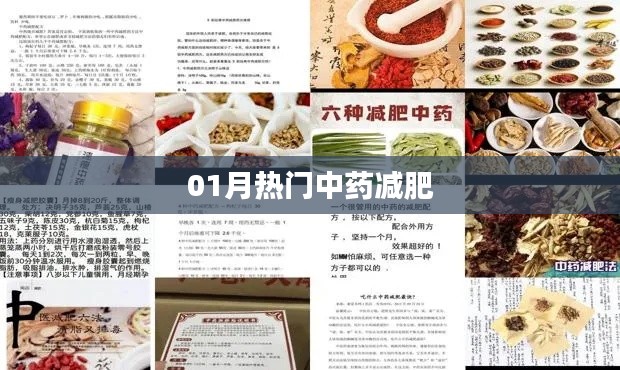 中药减肥秘籍,一月热门瘦身良方