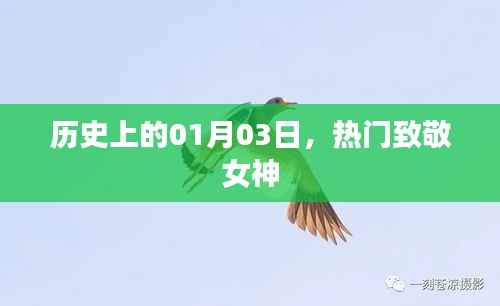 女神致敬日,历史回顾与纪念