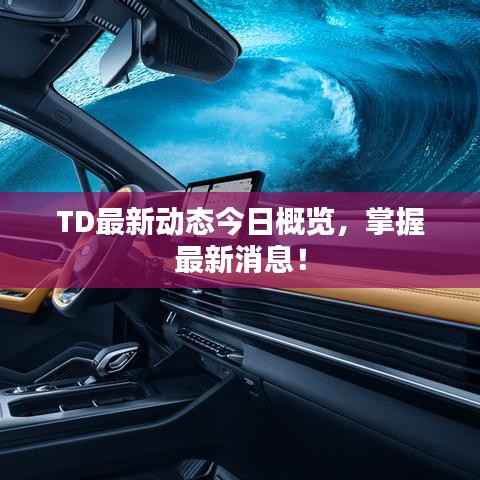 TD最新动态今日概览,掌握最新消息!