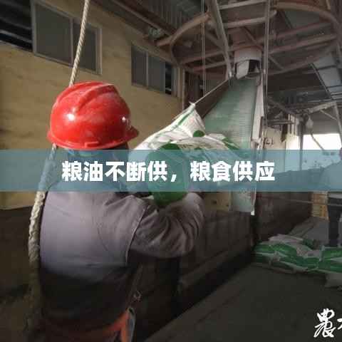 鸟飞兔走 第2页