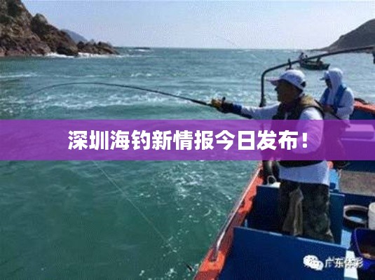 第615页