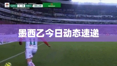 墨西乙今日动态速递